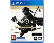 Ghost of Tsushima Director's Cut - PS4